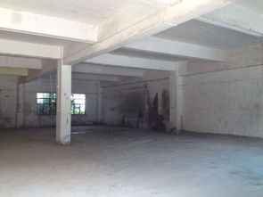 東莞市農村集體資產管理網視角下水圍埔一廠廠房投資管理策略探析